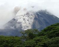 Volcanic bacteria take minimalist approach to survival