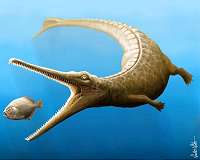 Jurassic fossil tail tells of missing link in crocodile family tree