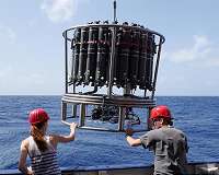 Iron deficiency restrains marine microbes