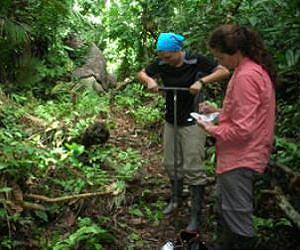 Scientists reconstruct pre-Columbian human effects on the Amazon Basin