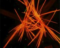 Tiny red crystals dramatically increase biogas production