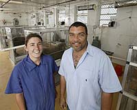 New Methane Chambers To Help Reduce Global Warming