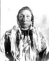 Bison Hunters More Advanced Than Thought