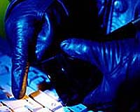 Cybercrime cuts deep in global economy: study