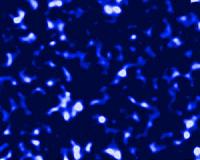 Searching High and Low for Dark Matter