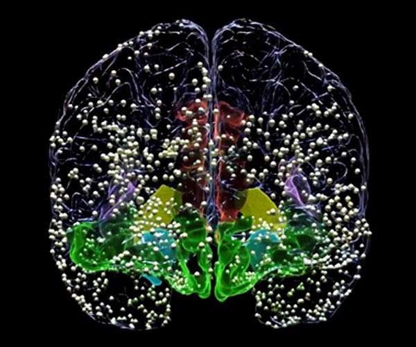 Controlling brain states with a ray of light