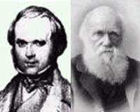 AAAS Urges Opposition To 'Intelligent Design Theory' Within Science Classes
