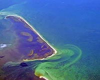 Large Dead Zone Predicted For Gulf Of Mexico This Summer