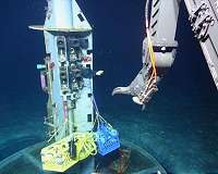 Study shows unusual microbes hold clues to early life