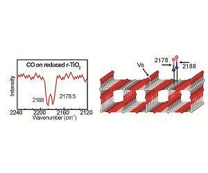 Processes at the Surface of Catalysts