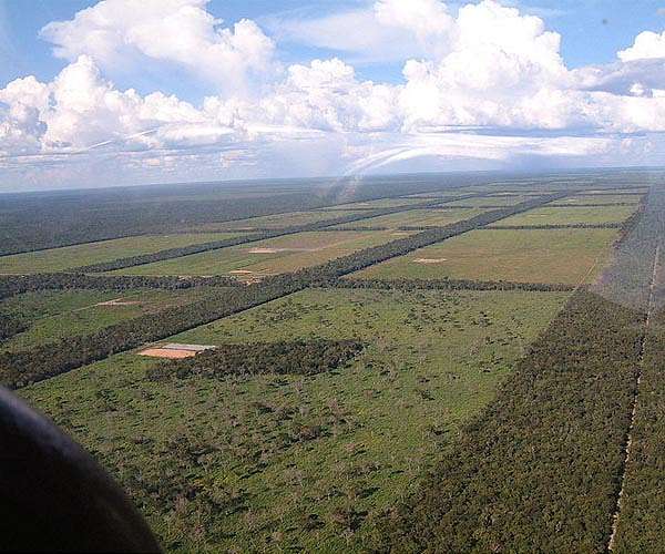 EU lawmakers adopt ban on imports speeding deforestation
