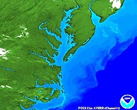 Chesapeake Bay Region Streams are Warming