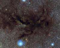 Molecular Outflow Launched Beyond Disk Around Young Star