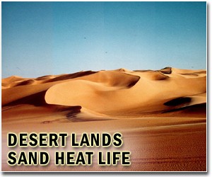 Iraq 'green belt' front line in anti-desertification fight