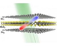 The thinnest photodetector in the world