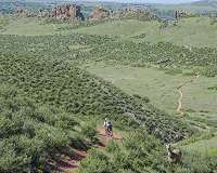 Outdoor recreation in protected areas negatively impacts wildlife