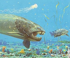 A new theory emerges for where some fish became 4-limbed creatures