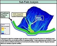 Buffering Runoff From Dairy Farms