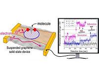 Atomically thin sensor detects harmful air pollution in the home