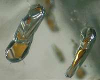 Scientists find oxidized iron deep within the Earth's interior