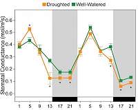 Drought response in global crops may be as complex as day and night