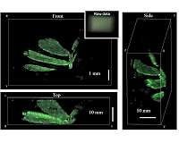 New lensless camera creates detailed 3-D images without scanning