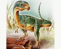 Bizarre 'platypus' dinosaur discovered