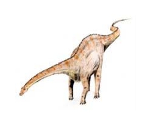 Research team discovers eating habits of Jurassic age dinosaur