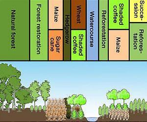 Sustainable land-use concept for South America