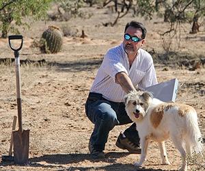 Are we really a nation of animal lovers?