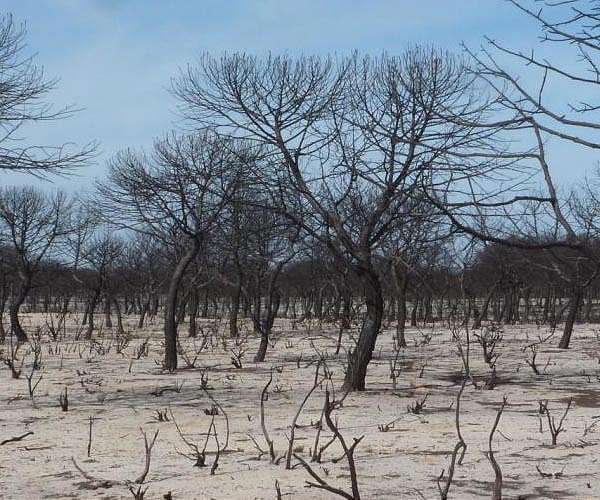 Spain, Portugal dryness 'unprecedented' in 1,200 years