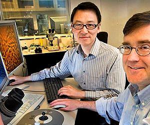 Activated graphene makes superior supercapacitors for energy storage