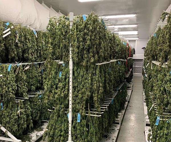 SNDL and IM Cannabis Complete SNDL's First International Export of Premium Dried Flower from Canada to Israel