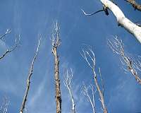 Incomplete drought recovery may be the new normal