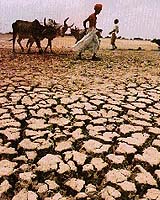 Sierra Leone Capital Hit By Worst Water Shortages In Decades