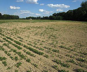 Public strongly supports programs helping farmers adapt to climate change