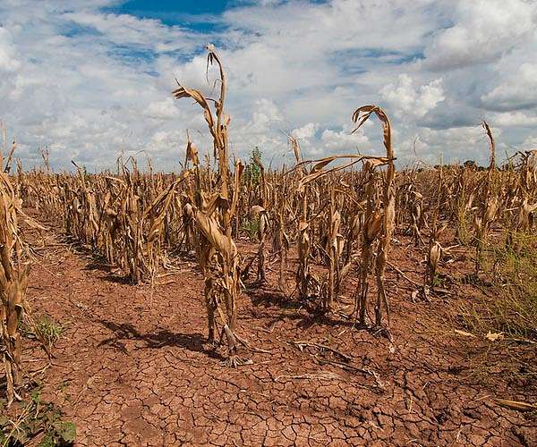 Drought data shows an unprecedented emergency on a planetary scale: UN