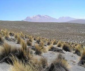 Biodiversity enhances ecosystems global drylands