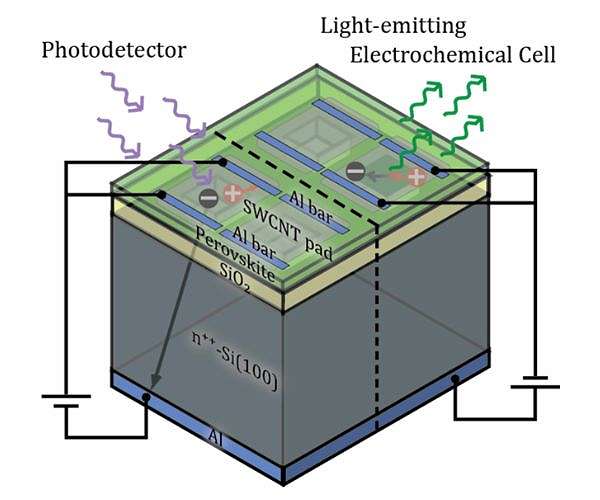 Novel design perovskite electrochemical cell for light-emission and light-detection