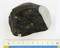 Dutch scientists fete rare meteorite find