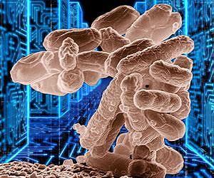 Mysterious bacterial outbreak in Europe