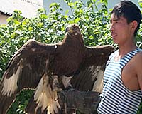 Training Of Golden Eagles: Kyrgyzstan's Thriving Tradition