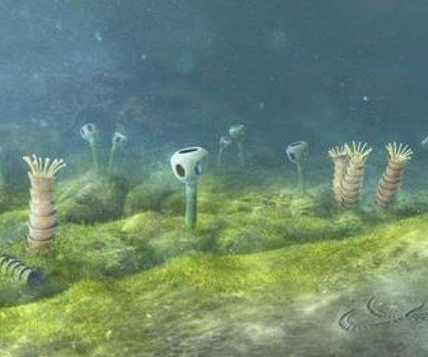 'Extraordinary' trove of ancient species found in China quarry