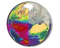 Surviving Snowball Earth