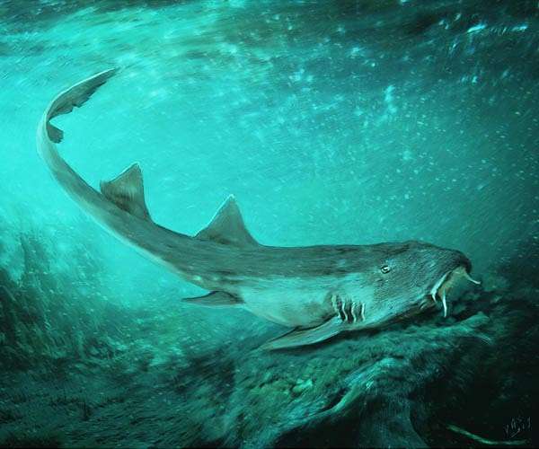 Sharks' Adaptation to Ancient Global Warming