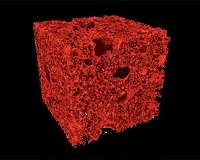 And then there was light: looking for the first stars in the Universe
