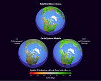 Siberian researchers contribute to global monitoring of the Earth's Green Lungs