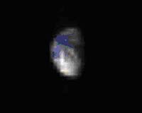 Earth-Moon Observations From Venus Express