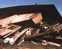 Silent Earthquakes May Foreshadow Destructive Temblors