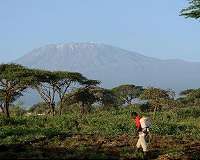 Research shows plants in Africa 'green up' ahead of rainy season